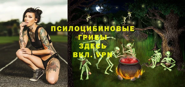 не бодяженный Козельск