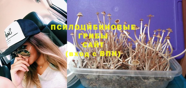 не бодяженный Козельск