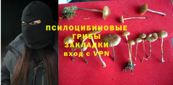 apvp Козловка