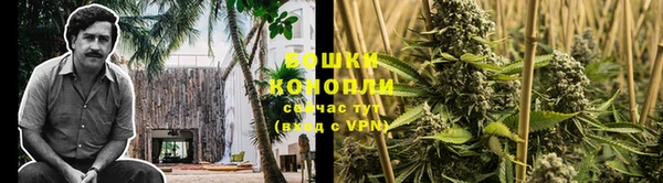 apvp Козловка