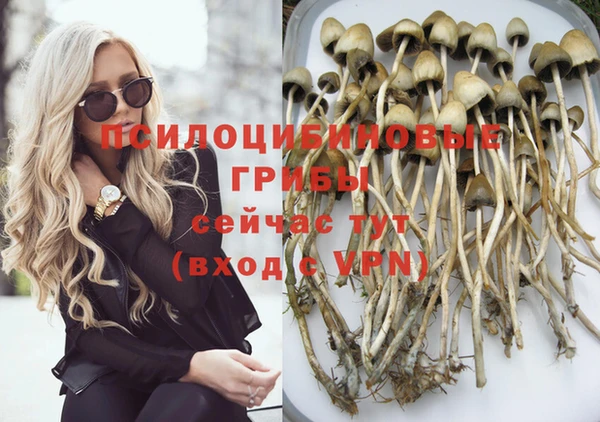 apvp Козловка