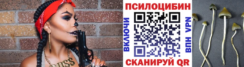 Псилоцибиновые грибы MAGIC MUSHROOMS  Купить закладки  Болотное 